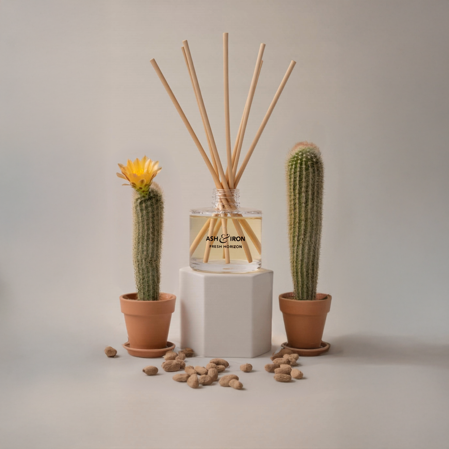 Ash & Iron Fresh Horizon™ Reed Diffuser
